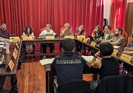 Un momento del pleno extraordinario celebrado el miércoles.