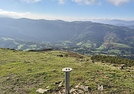 Una discreta cima navarra cobijada por el bosque