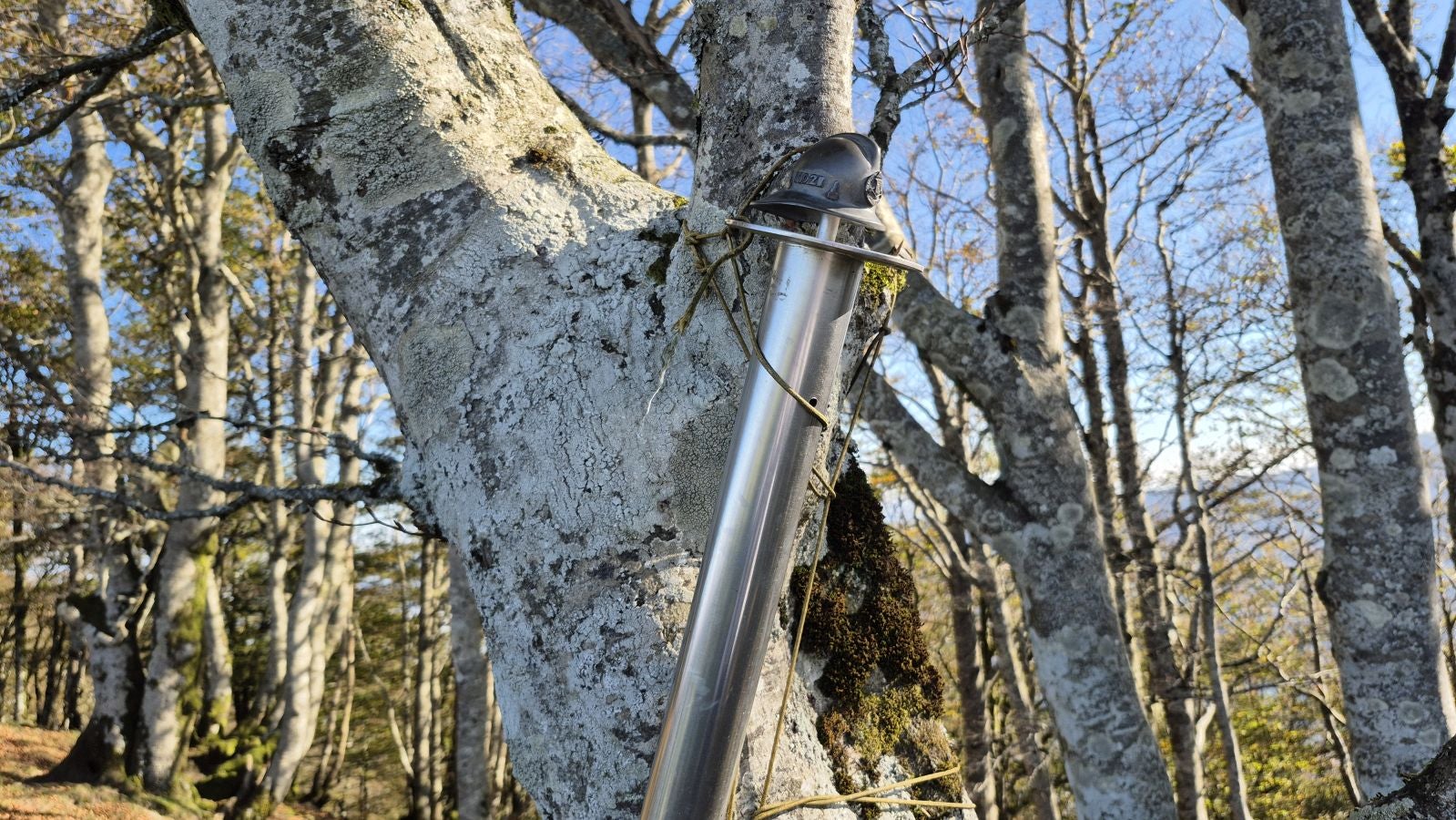Una discreta cima navarra cobijada por el bosque