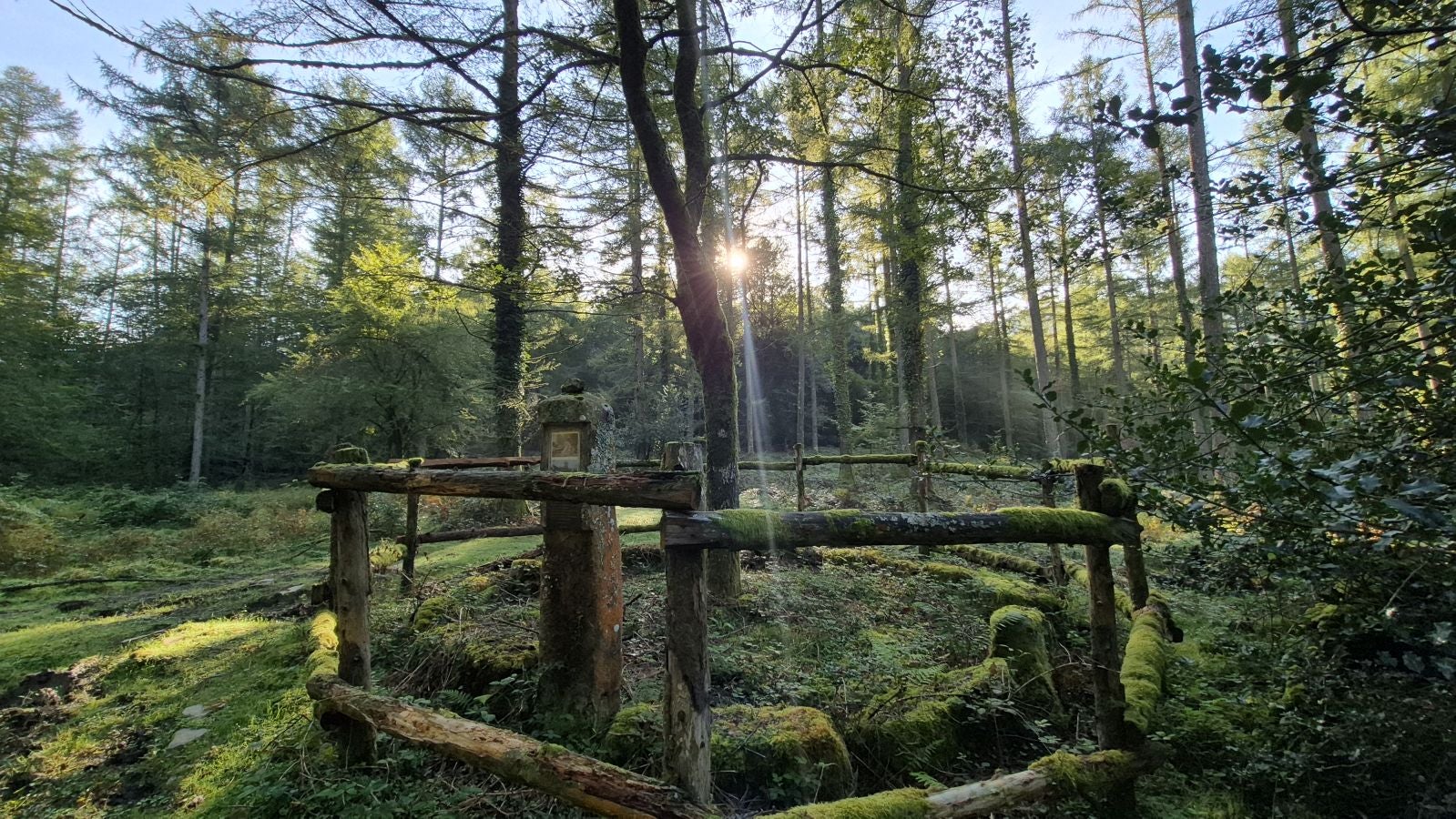 Una discreta cima navarra cobijada por el bosque