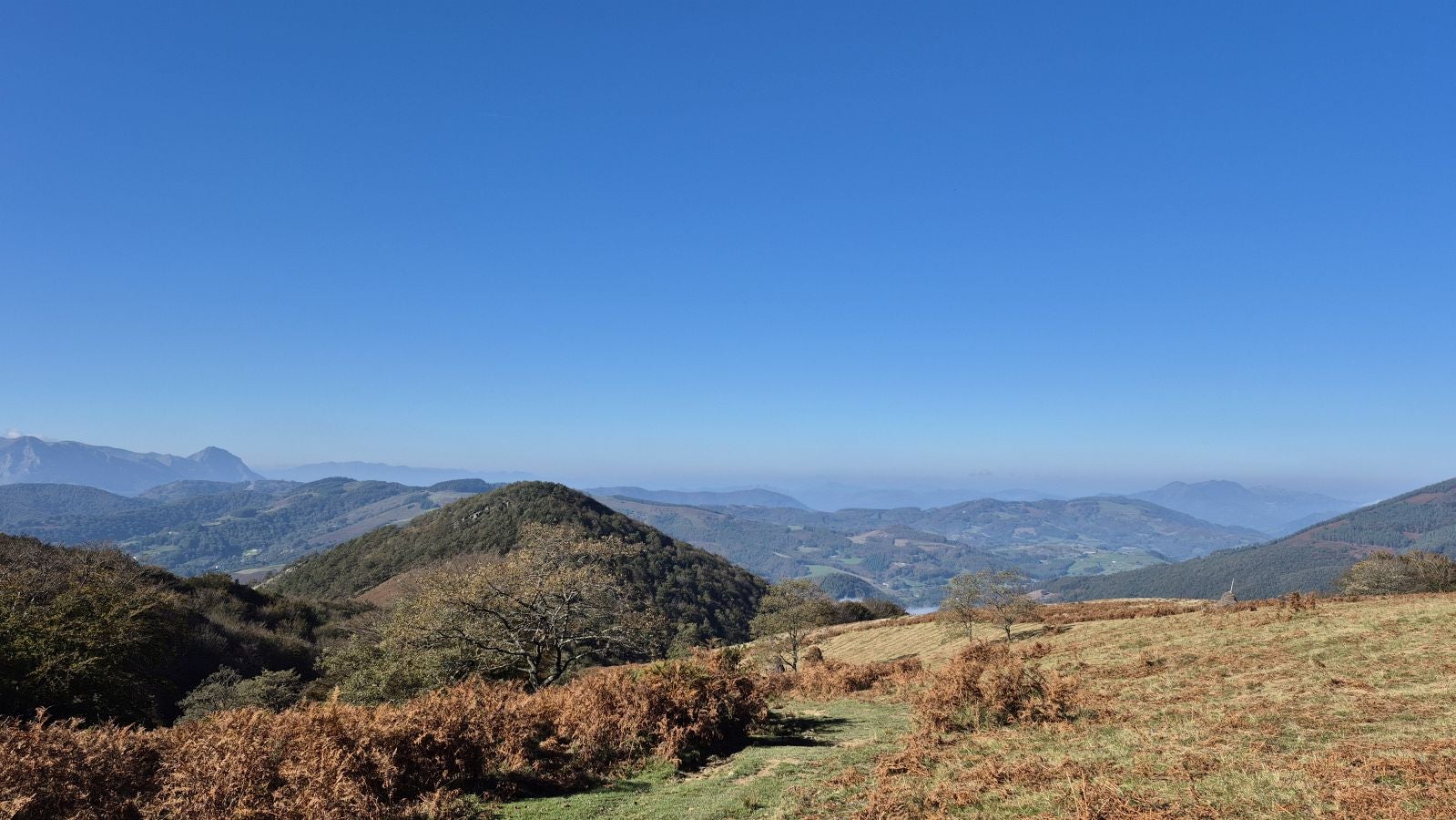 Una discreta cima navarra cobijada por el bosque
