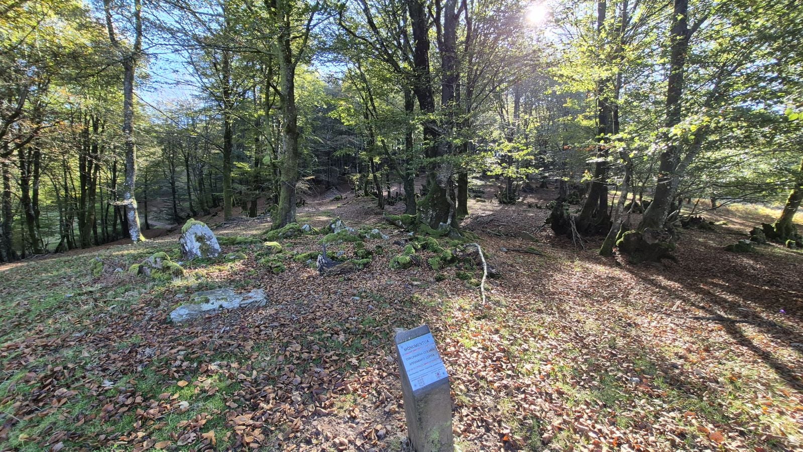 Una discreta cima navarra cobijada por el bosque