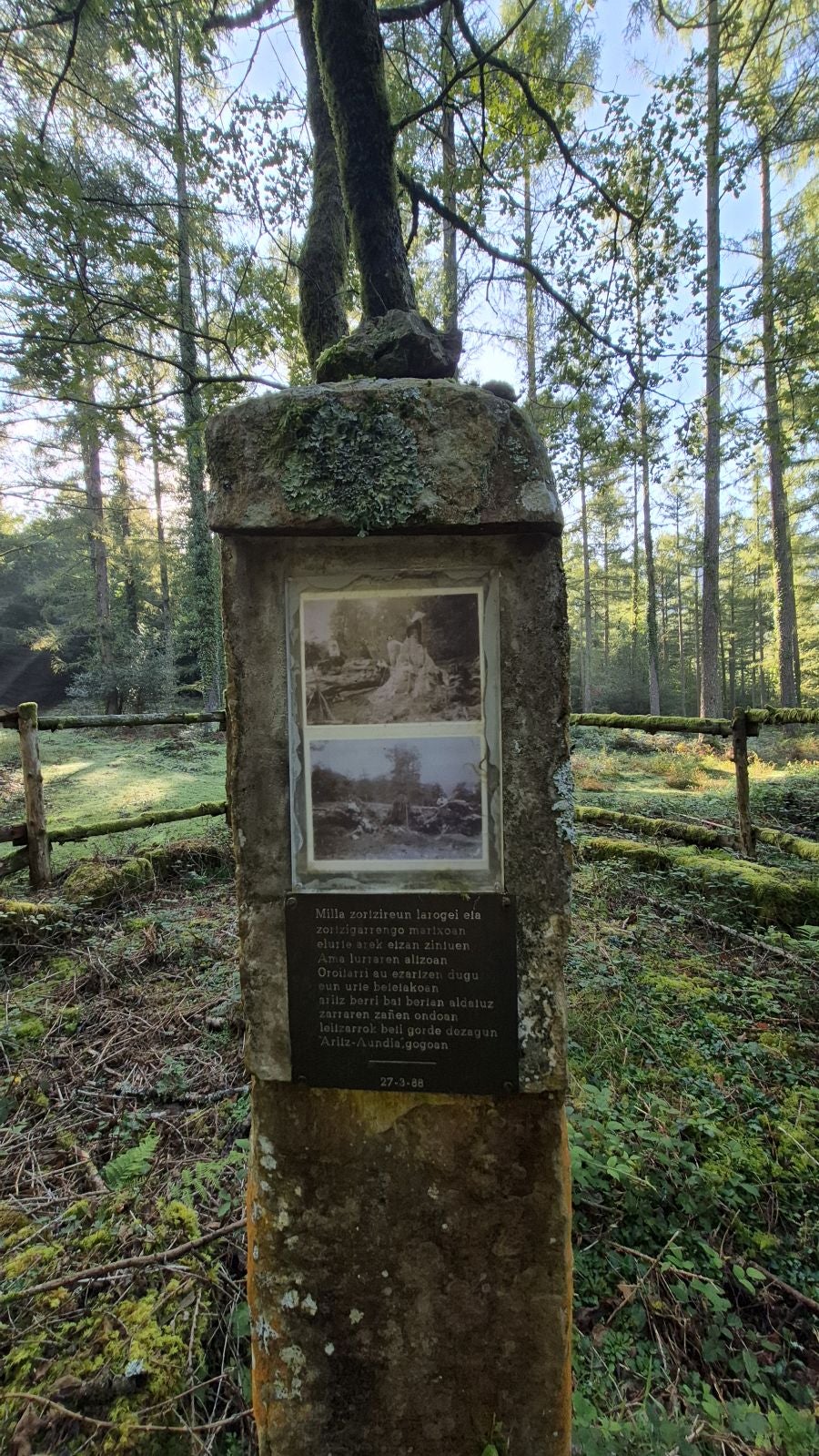 Una discreta cima navarra cobijada por el bosque