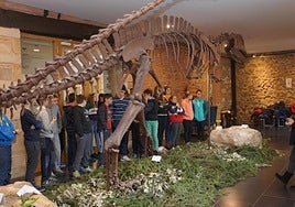 Un grupo de alumnos escucha las explicaciones de una responsable del museo mineralógico y paleontológico de Urretxu.