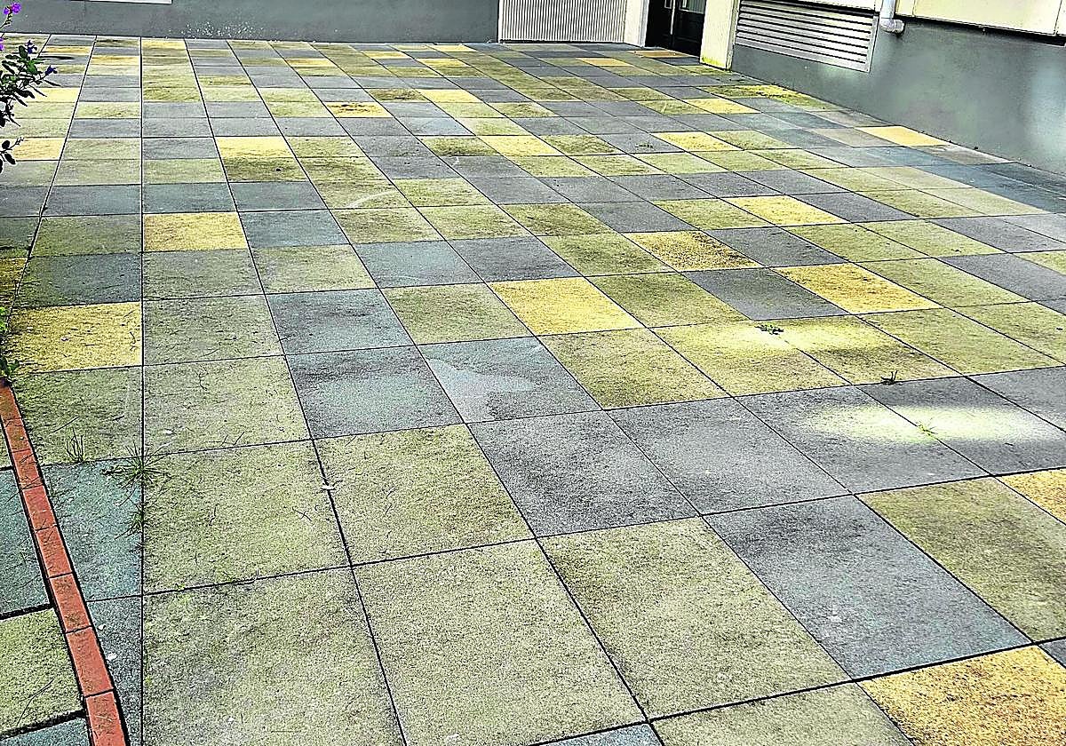 Denuncia Andrea: «El barrio de Txomin Enea está completamente abandonado en cuanto a limpieza se refiere. Esta es la plaza Aierbe, que solo tiene un año y está sucia y llena de verdín. La dejadez municipal es absoluta. Los jardines están llenos de la suciedad que, con el viento, ha salido de los contenedores hace meses. Necesitamos que el barrio se mantenga limpio, para eso pagamos impuestos».