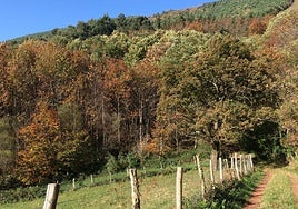 Una vía pública existente en el término municipal de Lezo.
