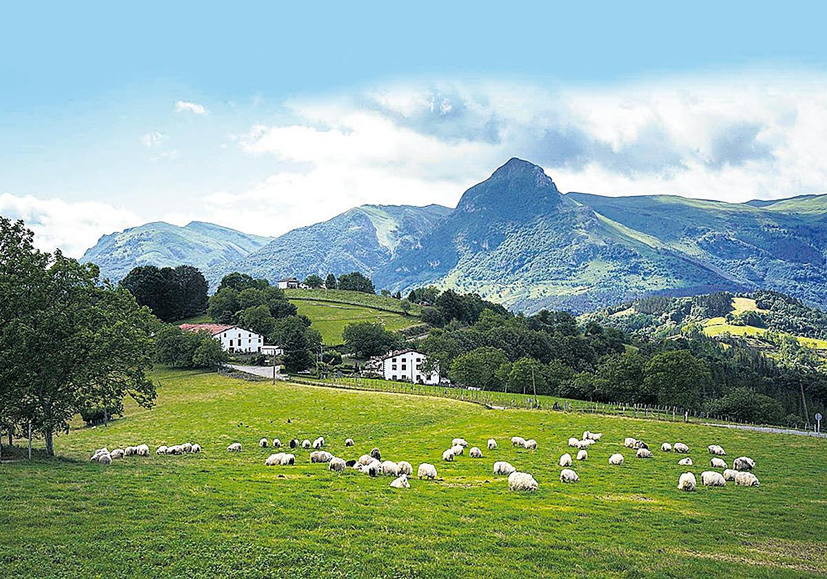 Una transición necesaria