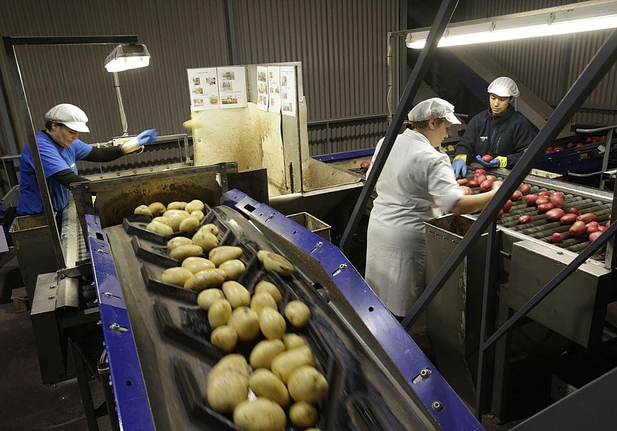 Tres trabajadoras en las instalaciones de Udapa en Álava, en una imagen de archivo.