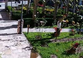 Las cámaras graban a un individuo haciéndose un ramo de flores en el convento de Las Brígidas