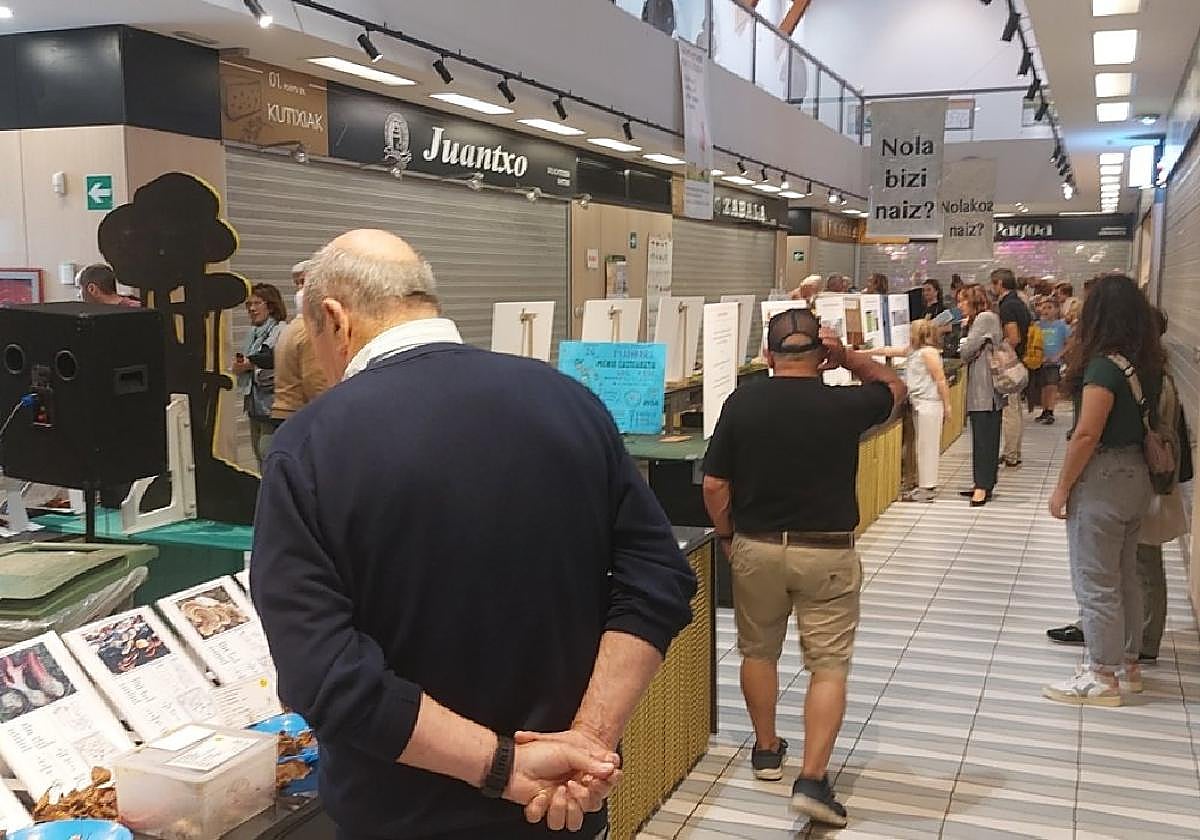 Amaitu da Natur Astea