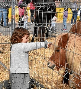 Azoka egunean animalien erakusketa egongo da aurten ere.