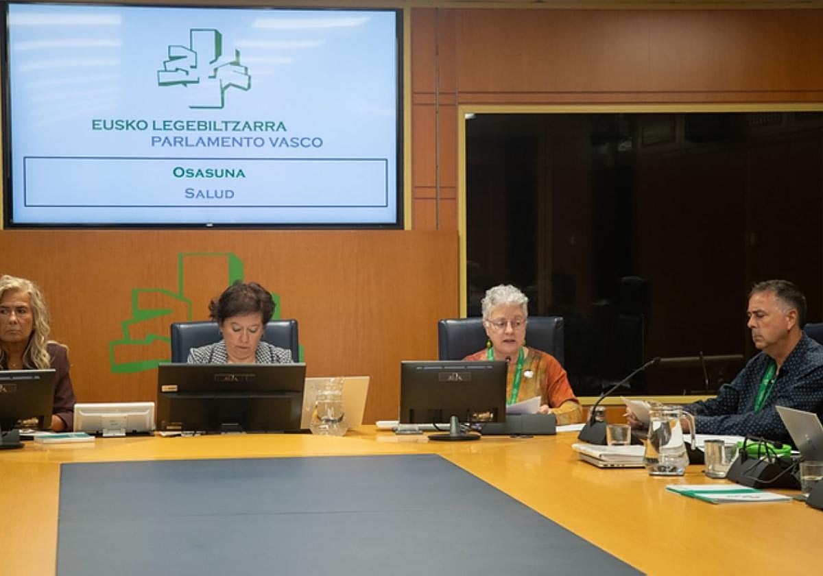 Comparecencia de miembros de LOOPA en la comisión de Sanidad.