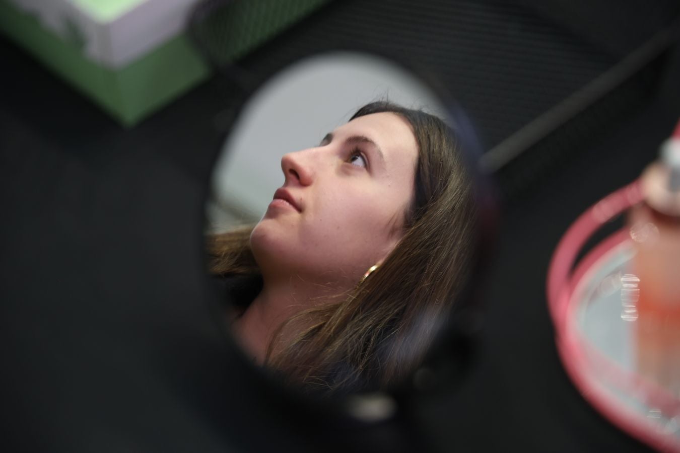 &#039;Beauty Days&#039; en Garbera