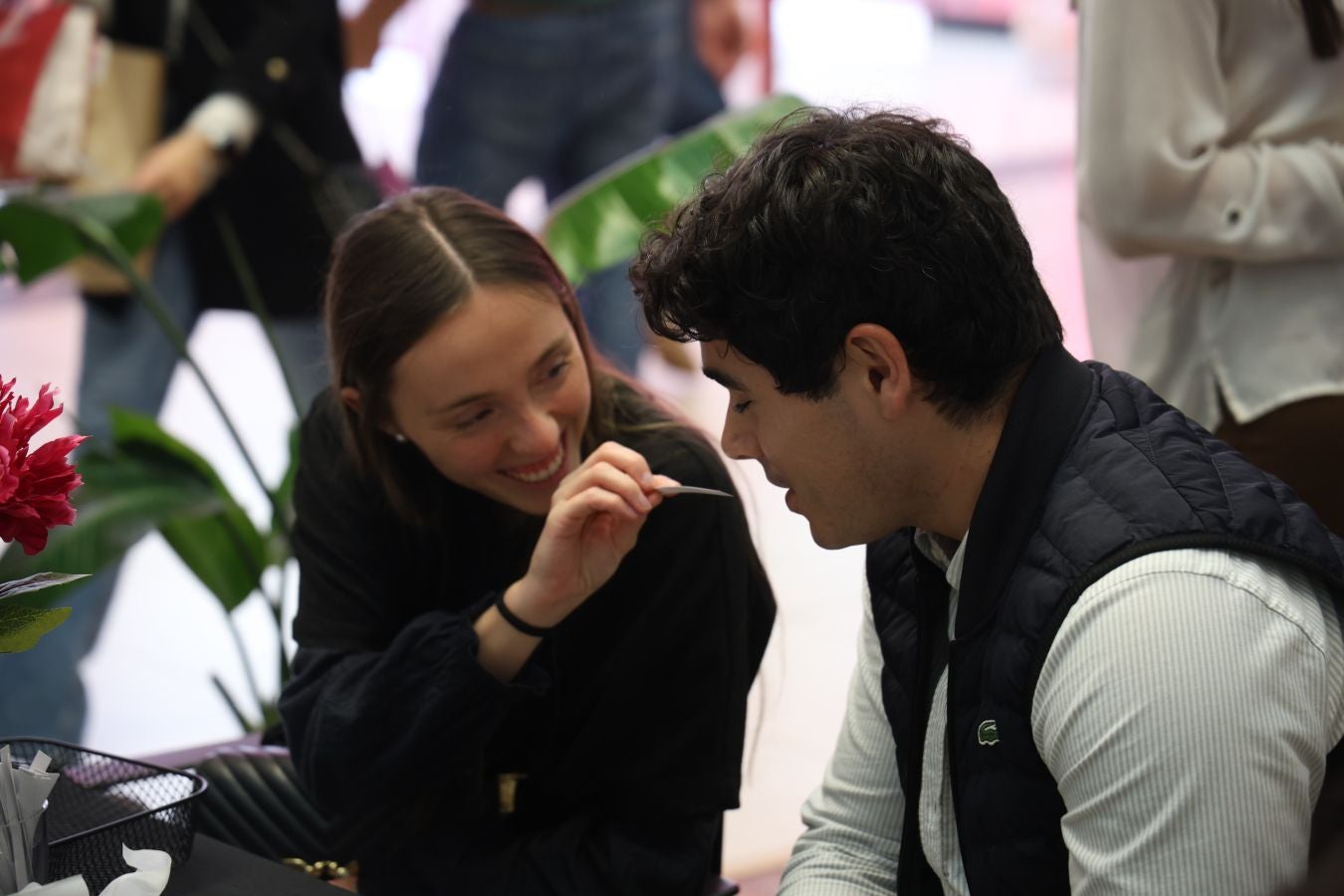 &#039;Beauty Days&#039; en Garbera