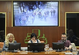 Joseba Novoa, a la derecha, durante su comparecencia en el Parlamento Vasco este mañana.
