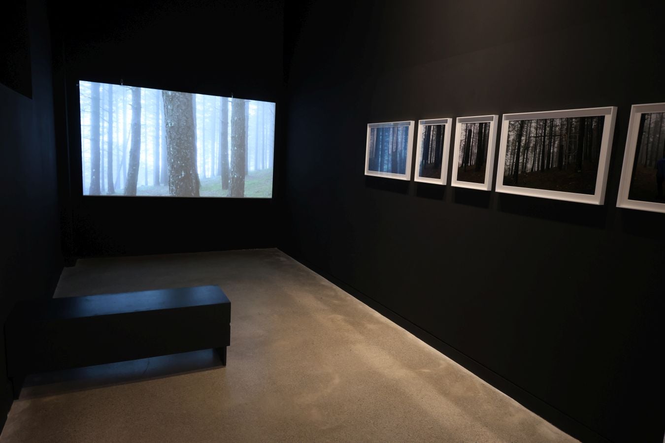 Una década de Maider López