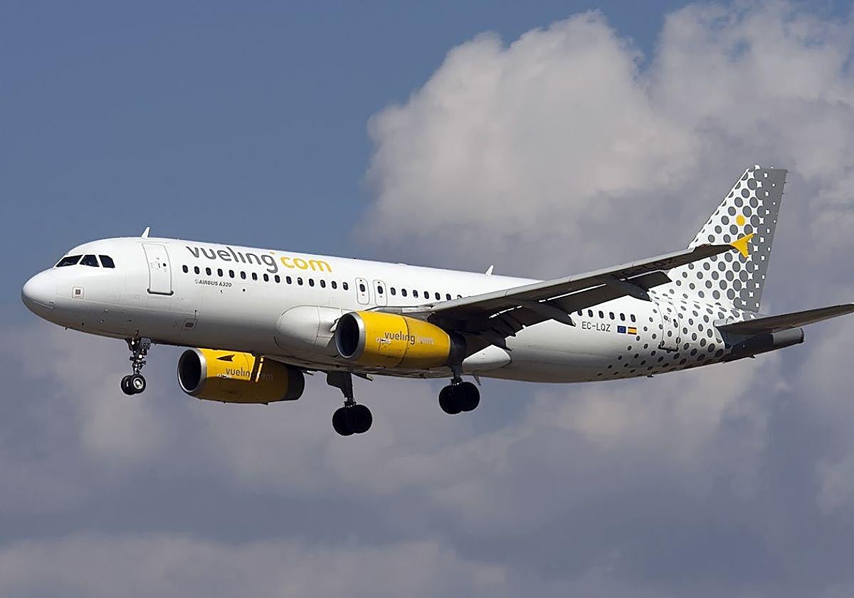 Airbus A320-232, avión que intenta aterrizar sin éxito en el aeropuerto de Bilbao.