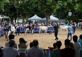 Concurso de ganado celebrado en julio en Irun.