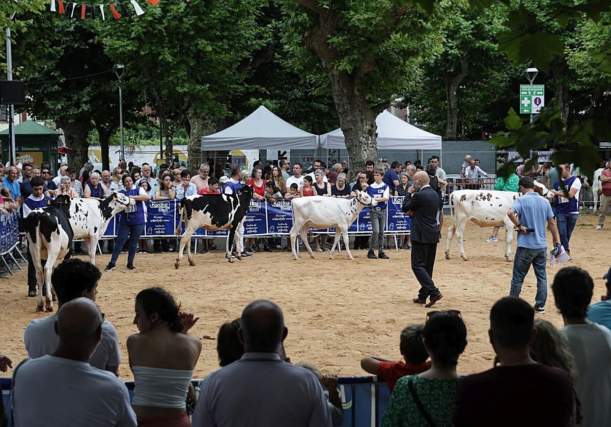 Concurso de ganado celebrado en julio en Irun.