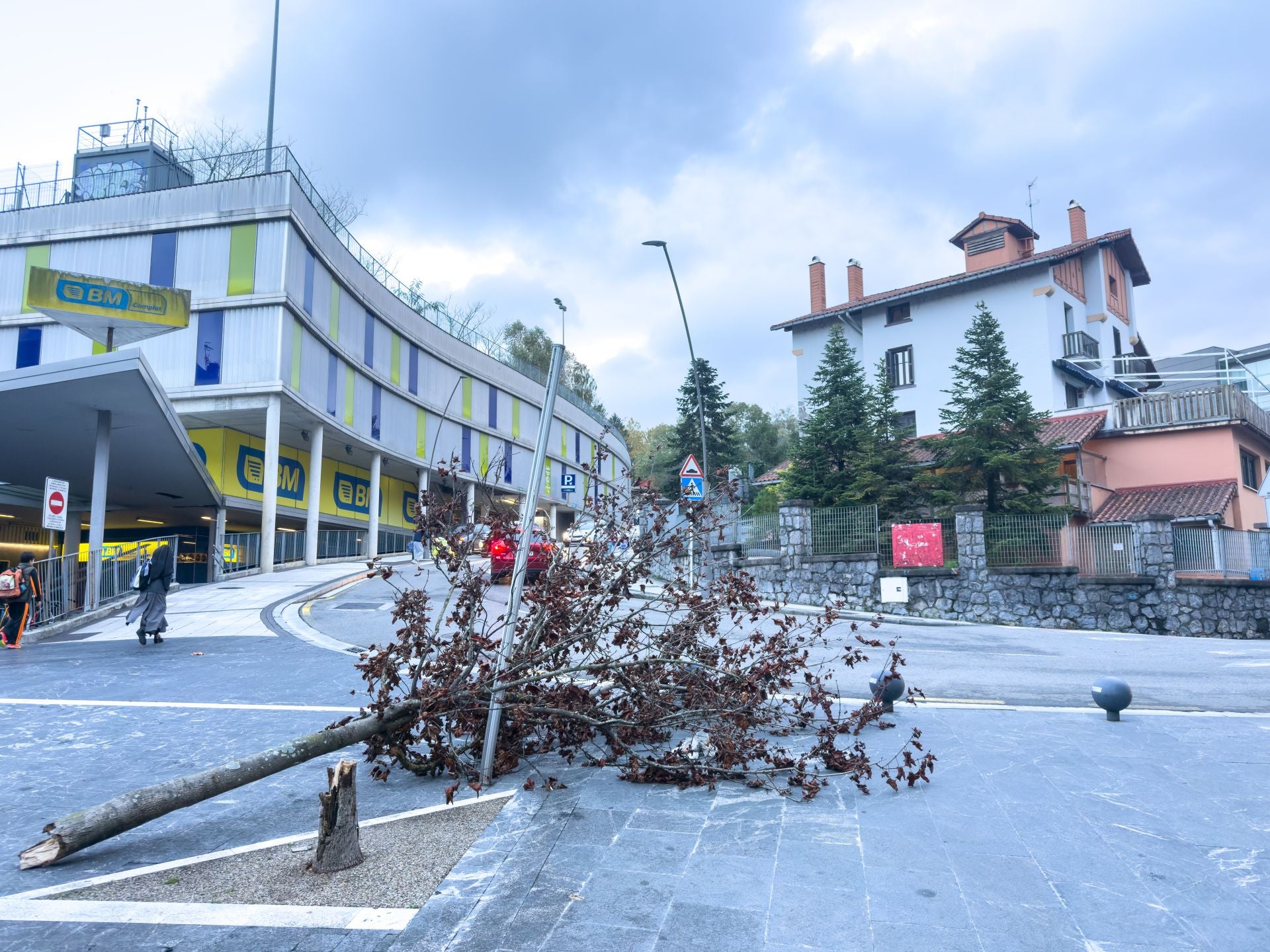 En Lasarte, también se han caídos árboles sobre las aceras. 