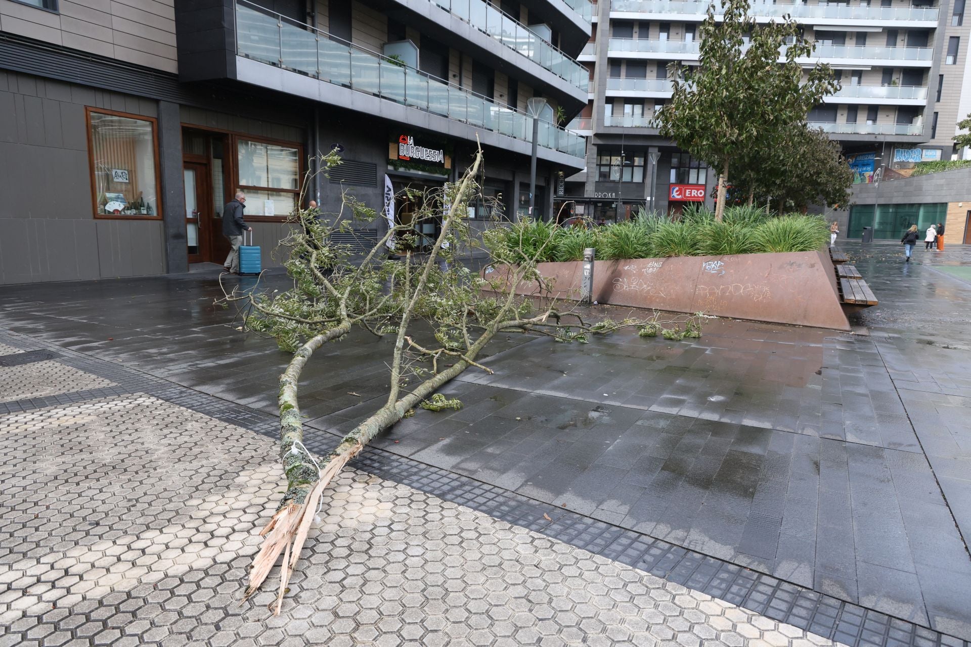 Los desperfectos que ha dejado &#039;Benjamín&#039; en Gipuzkoa