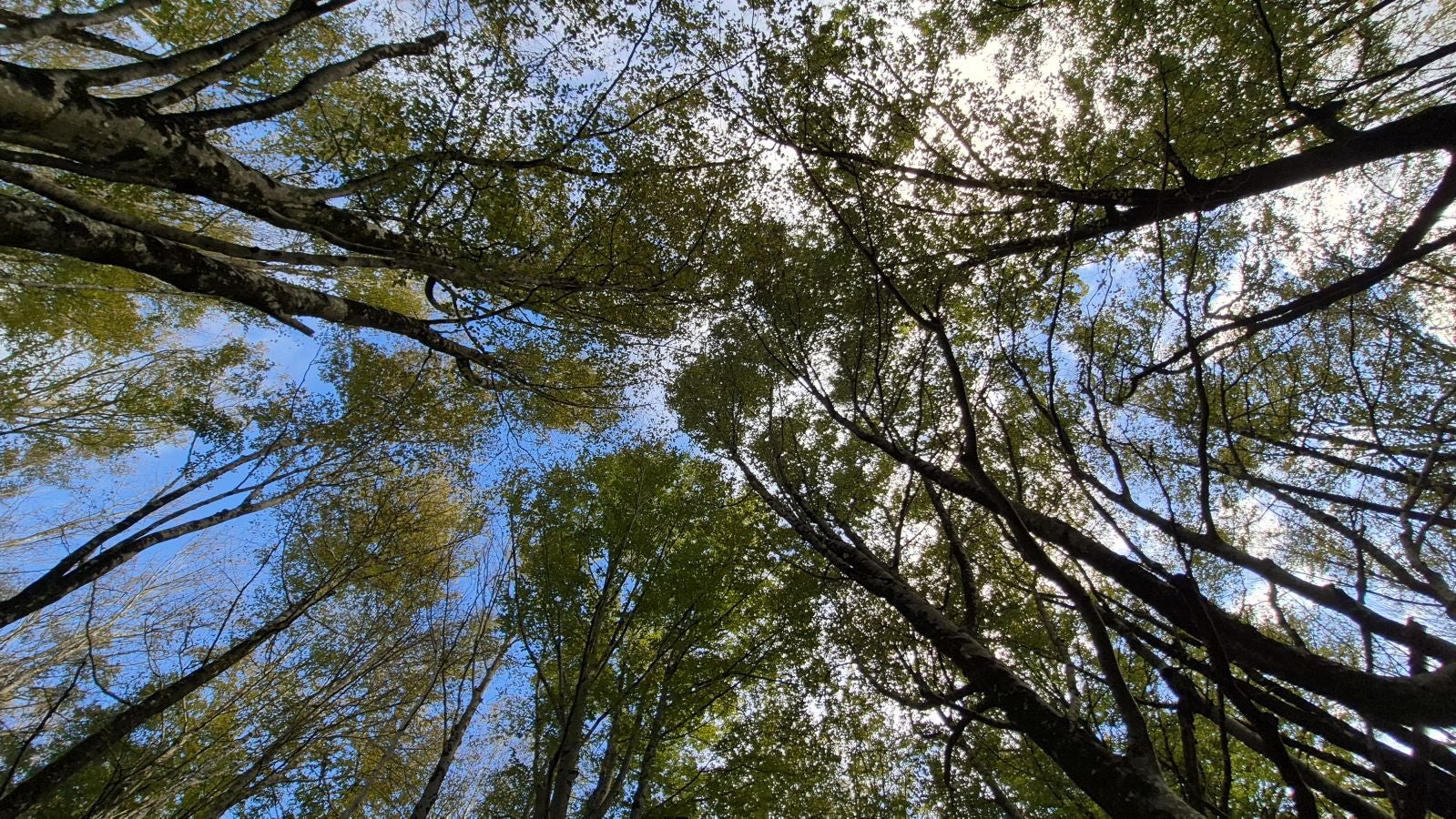 Agaotz, refugio de lamias y gentiles