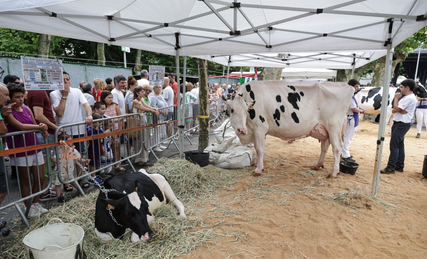 Imagen de la feria de ganado de este verano en Irun.