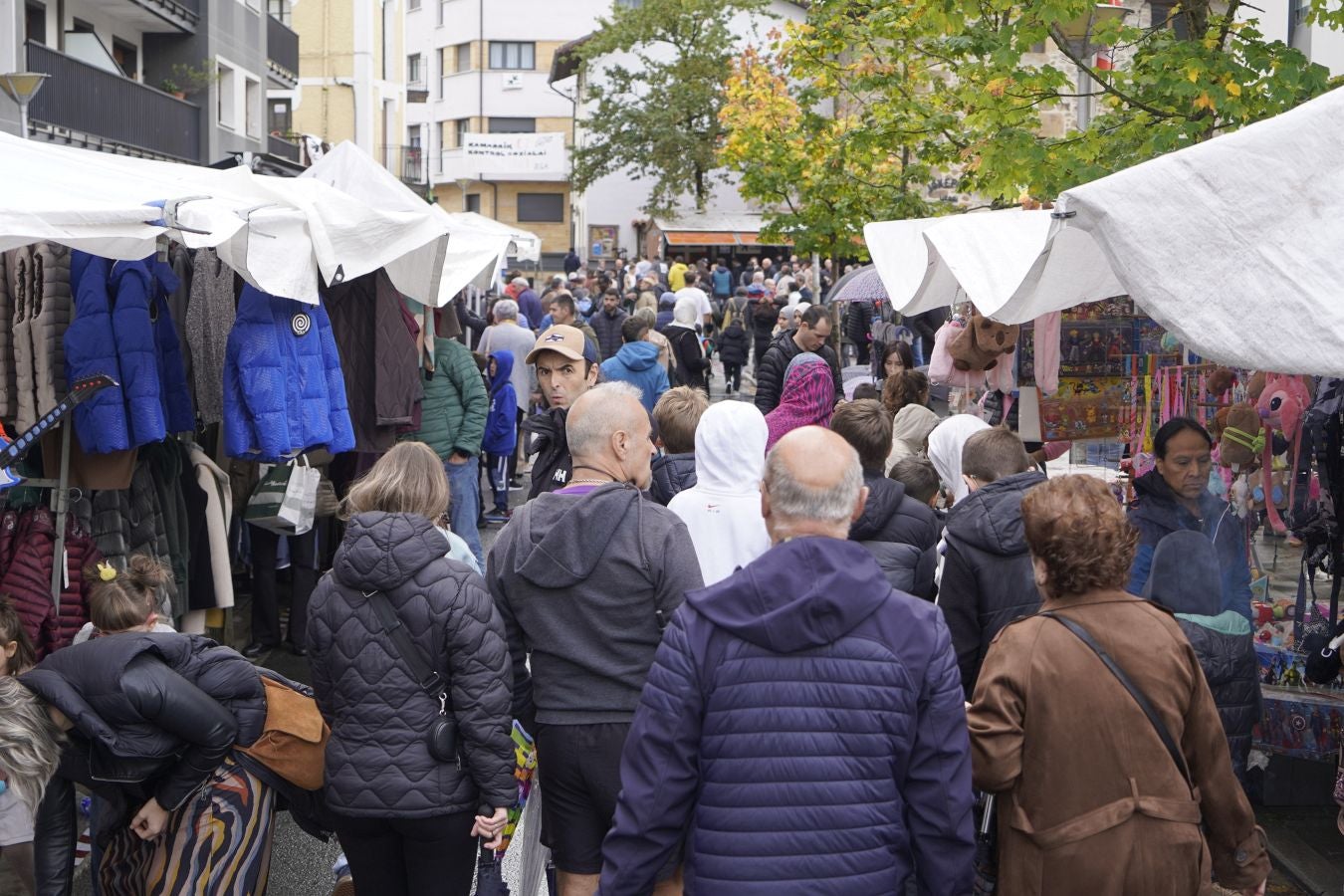 Ardiki egun bikaina Zaldibian