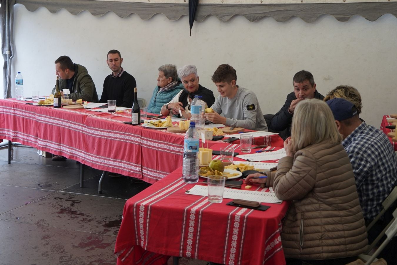 Ardiki egun bikaina Zaldibian