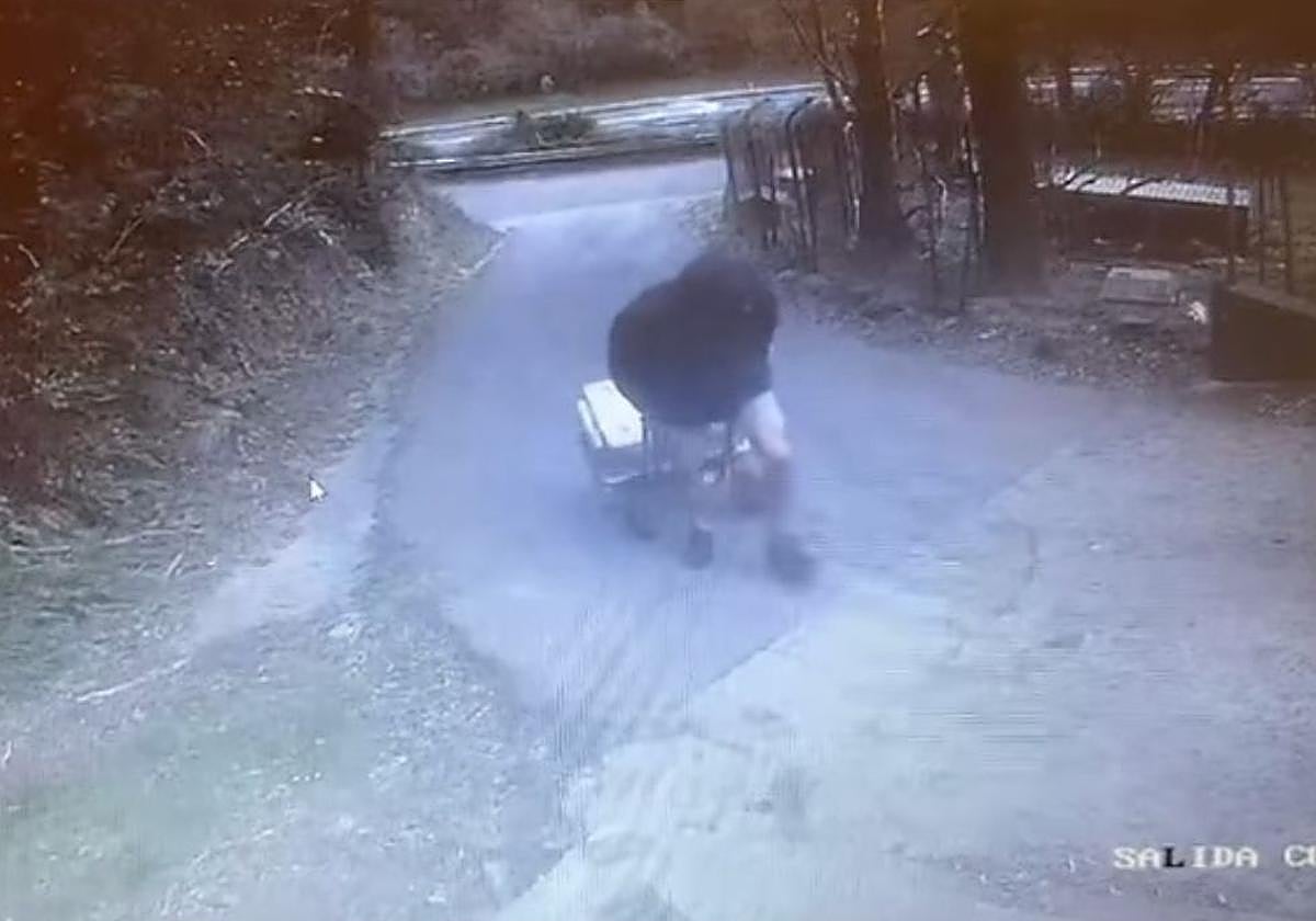 Pillan a un hombre abandonando cinco gatos en la Protectora de Gipuzkoa: «Estamos cansados de ver cómo se repite esta historia»