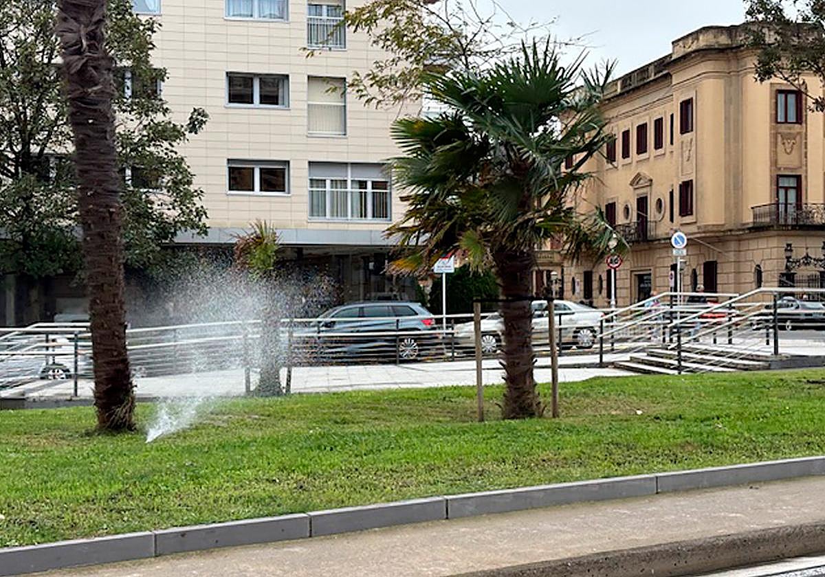 Regando en días de lluvia