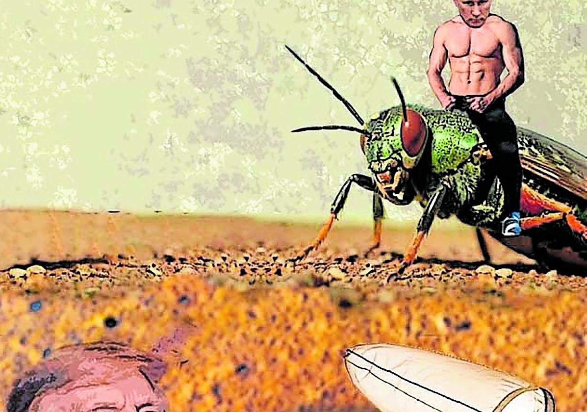 Trump fracasa (otra vez) con la guerra en Ucrania