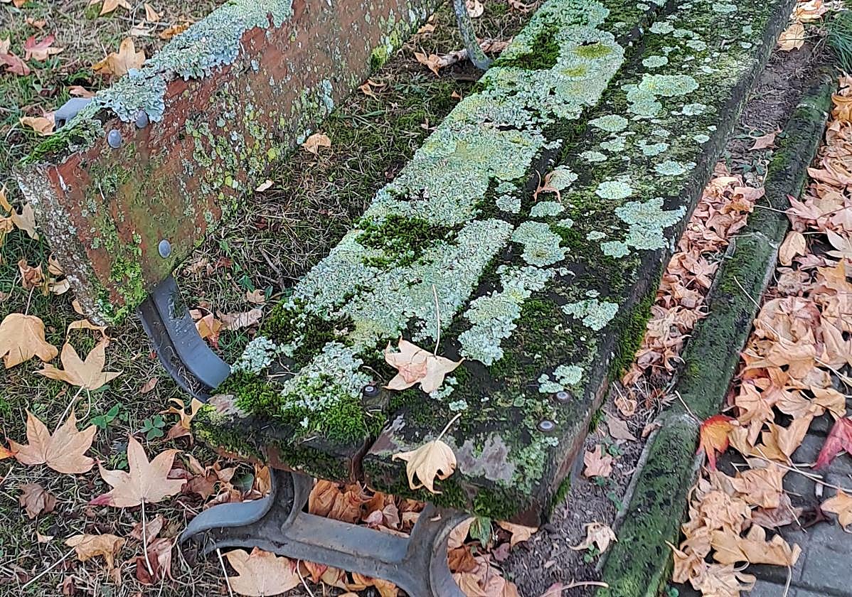 Iñaki Manterola denuncia: «Este es el estado de los bancos en la calle Mantulene. Con esta imagen, pocas palabras más se pueden decir al respecto. Hay en la zona algunos que no están tan mal porque los vecinos los limpian con pistola de presión. Ayuntamiento, de verdad, no es normal tener que andar así».