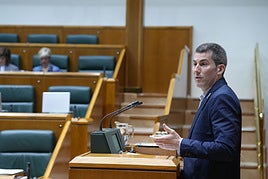 Arkaitz Rodriguez, en una intervención en el Parlamento Vasco.