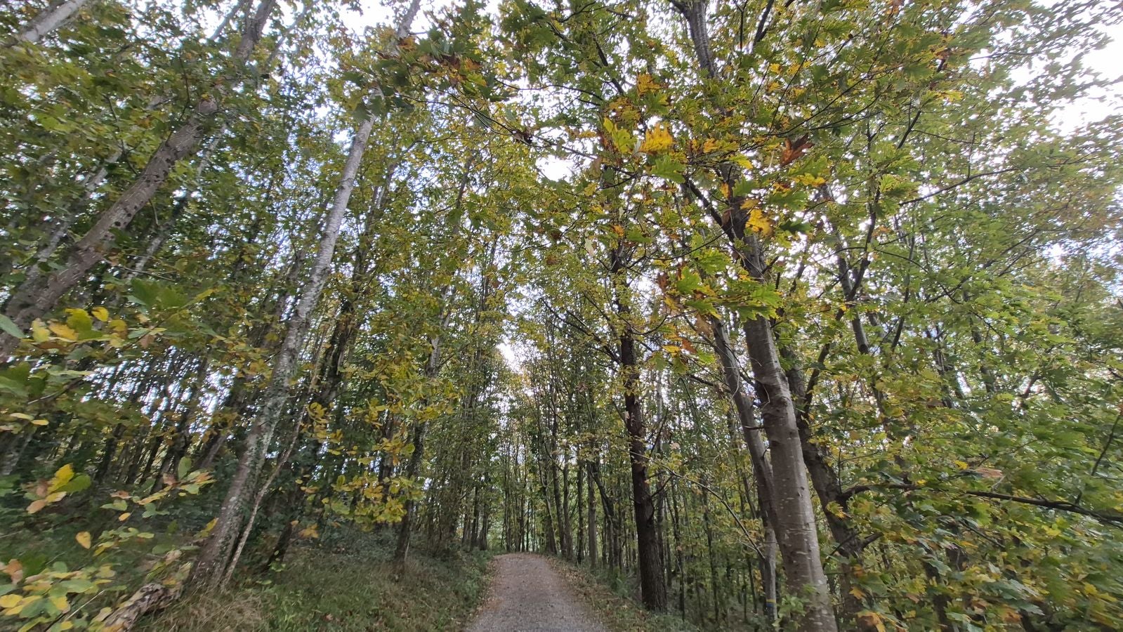 Burunda, el monte que fue testigo de grandes citas deportivas de la &#039;Belle Époque&#039;