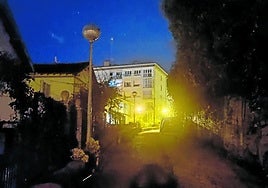 Denuncia la Comunidad de Larratxo 70: «En el paseo de Larratxo, entre los números 68 al 72, la falta de mantenimiento y conservación es total. Esto parece una jungla de día y de noche. Por si no es suficiente: tenemos una farola fundida y la otra farola encendiéndose y apagándose constantemente».