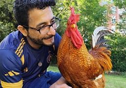 El gallo guipuzcoano que sueña con pasearse por la bahía de La Concha: «Le gustan la lechuga y las madalenas»