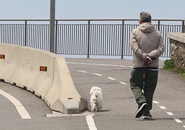 Un hombre camina con su perro por el paseo entre Deba y Mutriku.