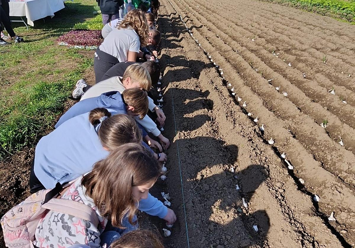 Hainbat ikastetxetako ikasleak joan dira baratzera.