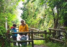 Planes para este fin de semana en Gipuzkoa