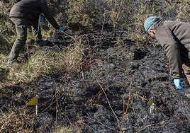 Trabajadores forestales trabajan en los restos de un incendio en un monte de Gipuzkoa.