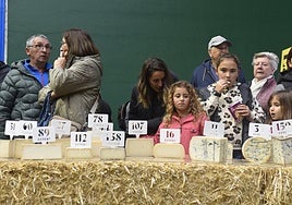 Hubo degustación con los quesos presentados a concurso.