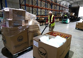 Un voluntario del Banco de Alimentos de Gipuzkoa transporta varias cajas de alimentos llegadas al almacén.