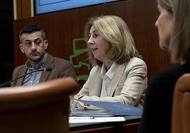 Carmen Adán, en su comparecencia de este miércoles en el Parlamento.