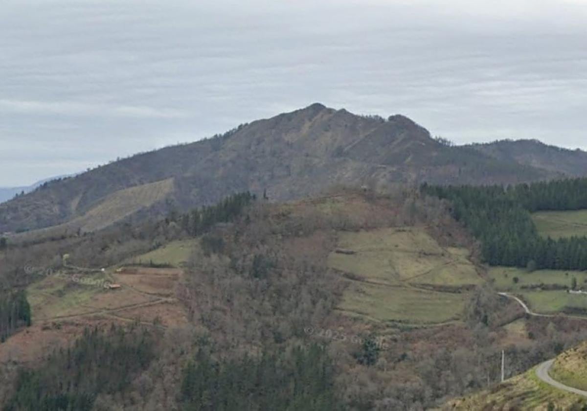 El Ayuntamiento adquiere nuevos espacios del monte Urko para la recuperación de la biodiversidad.