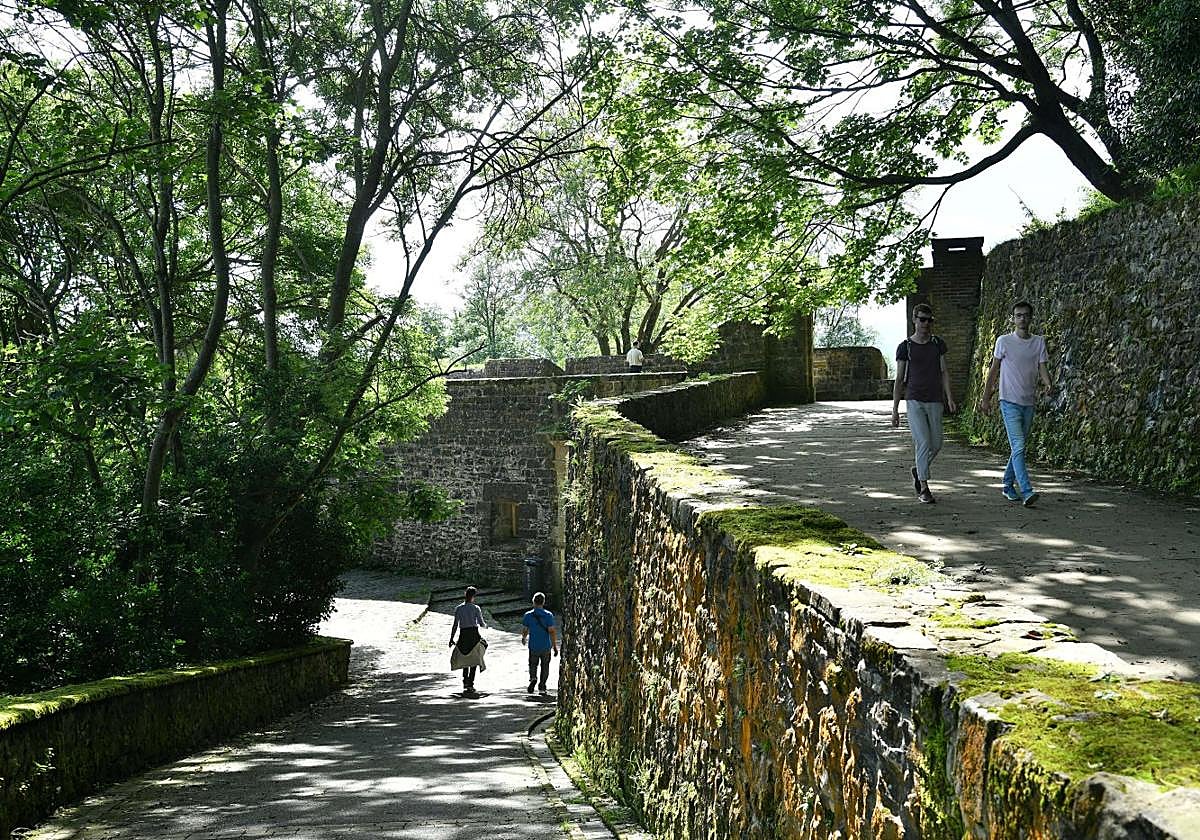 Las elevaciones de copas en los caminos de Urgull mejorarán la seguridad viaria y peatonal.