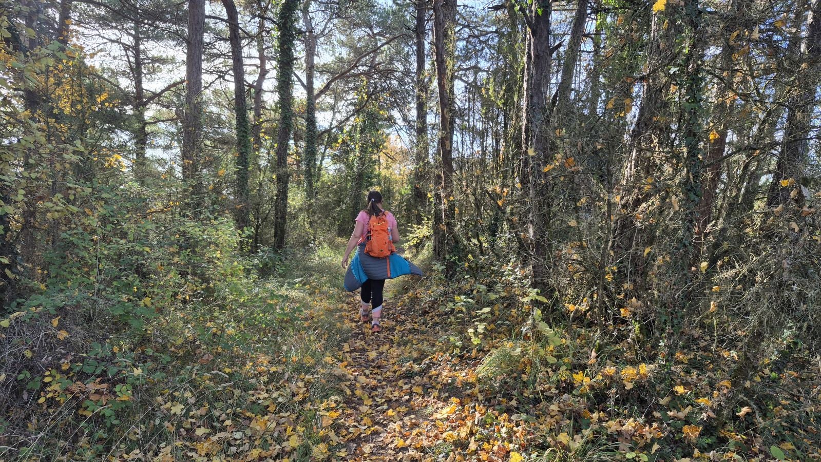 Irulegi, testigo de episodios históricos