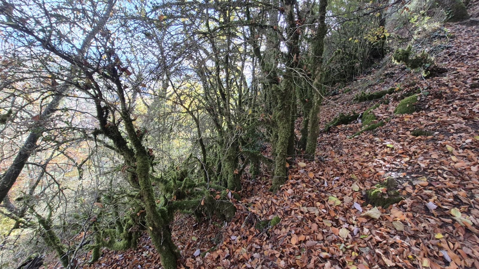 Irulegi, testigo de episodios históricos