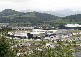 Vista general del polígono industrial de Eskuzaitzeta, que alberga a empresas como Mubil, Cidetec, Otis o Naturklima, al que se destinarán 10 millones de euros para su desarrollo.