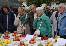 Dena prest da jada bihar ospatuko den Errezil sagar azokaz eta baserriko produktuen postuez gozatzeko.
